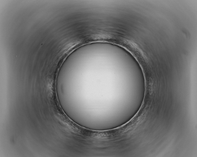 X0000112111217200908181340