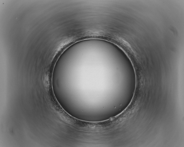 X0000112111218200908181340