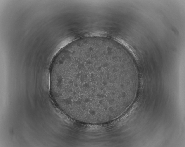 X0000112111219200908181340