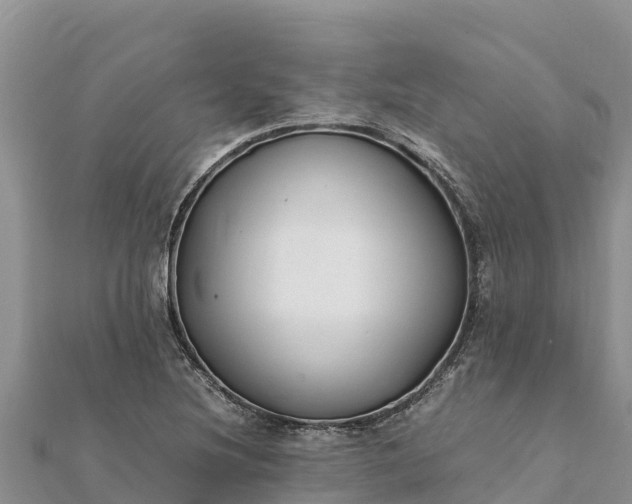 X0000112111220200908181340