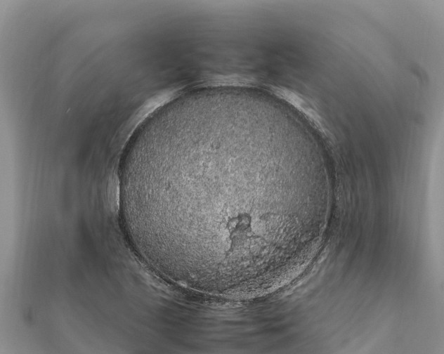 X0000112111221200908181340