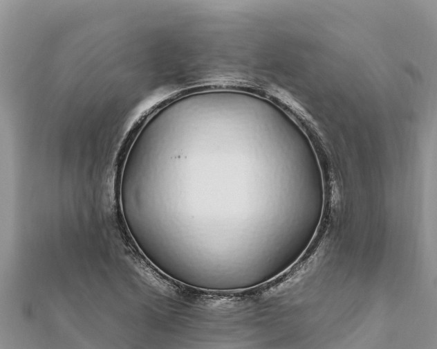 X0000112111222200908181340