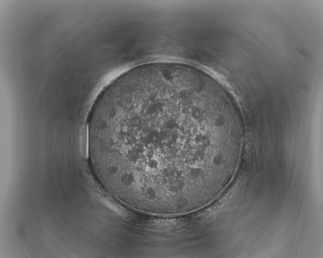 X0000112111223200908181340