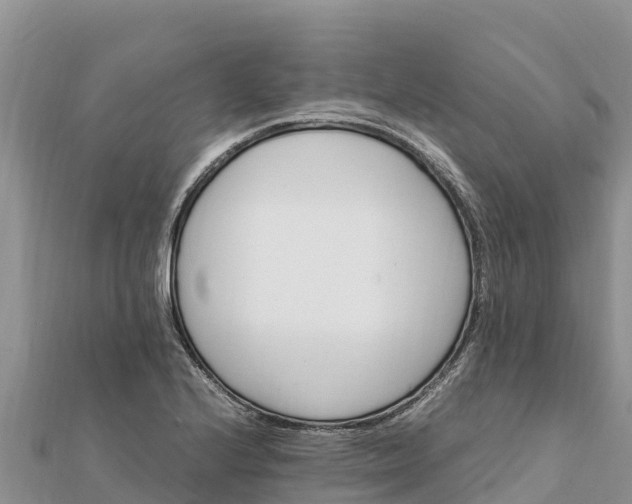 X0000112111224200908181340