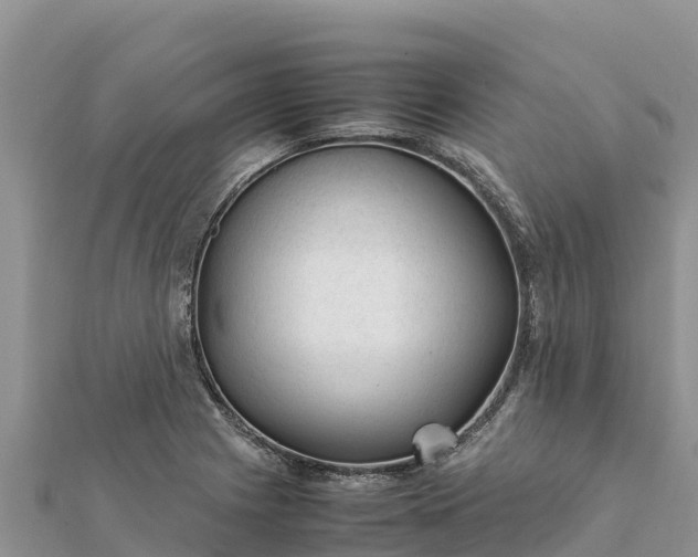 X0000112111225200908181340