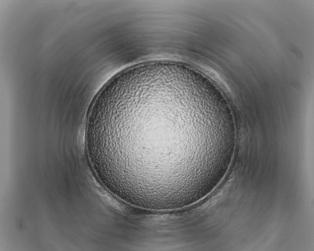 X0000112111228200908181340