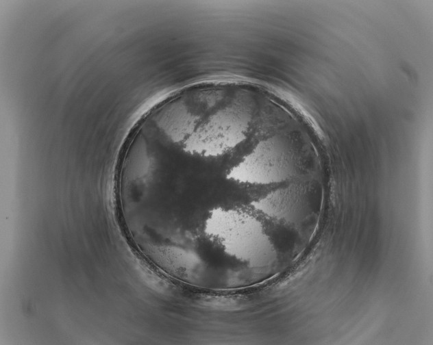 X0000112111229200908181340