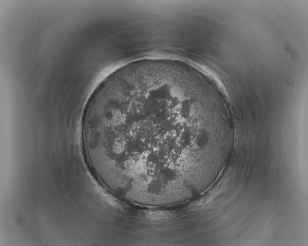 X0000112111231200908181340