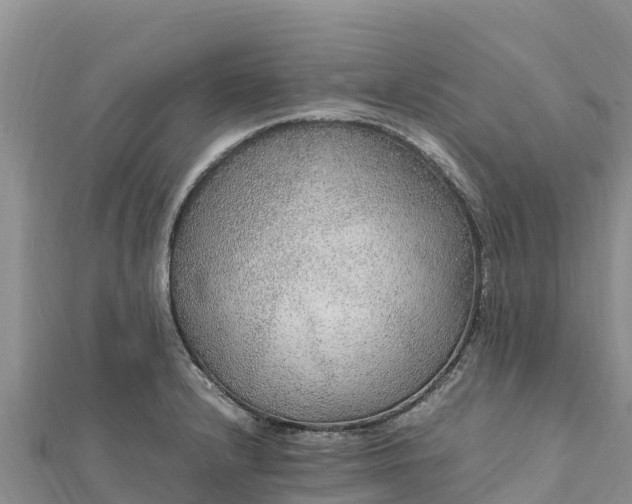 X0000112111232200908181340