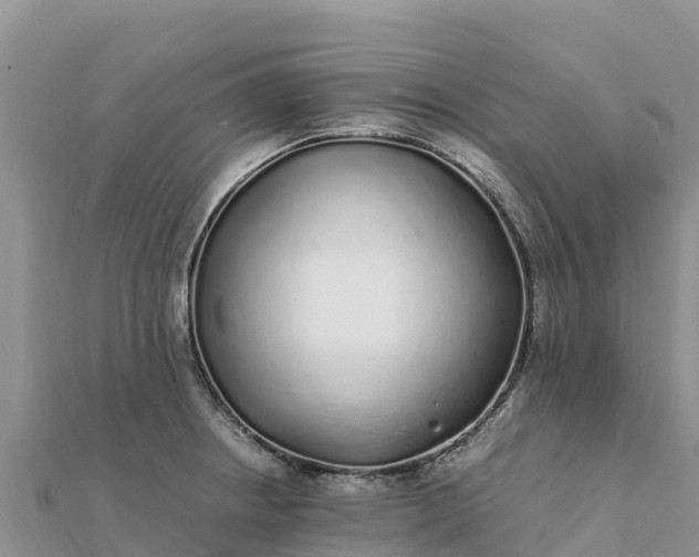 X0000112111234200908181340