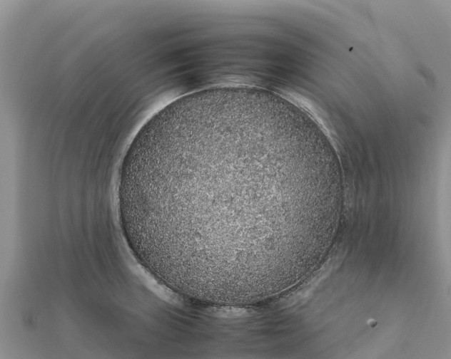 X0000112111235200908181340