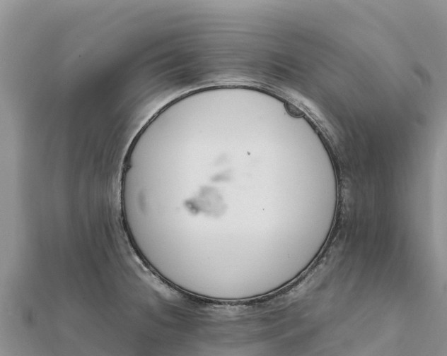 X0000112111236200908181341