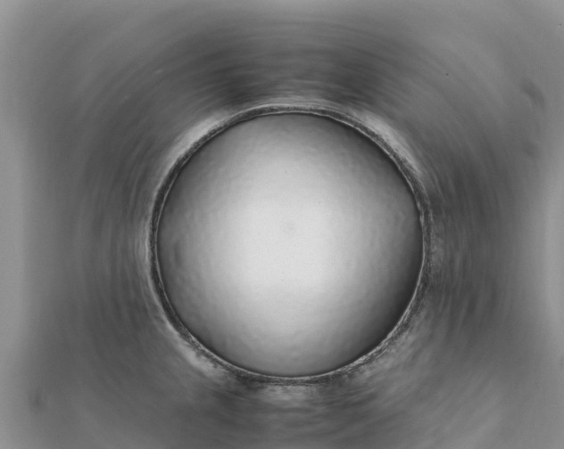 X0000112111237200908181341