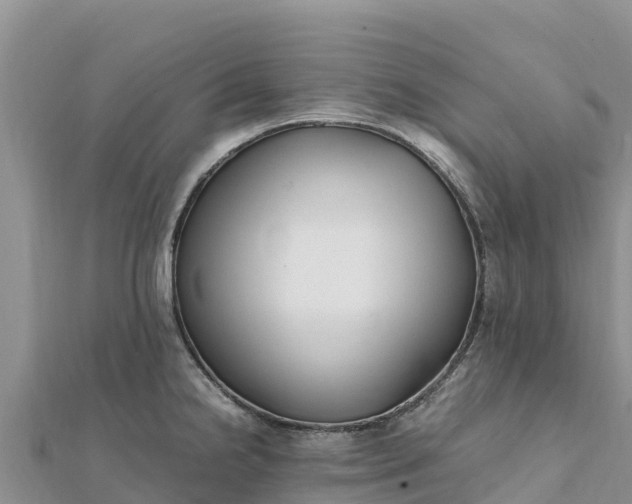 X0000112111238200908181341