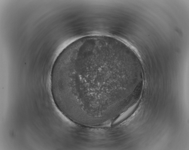 X0000112111239200908181341