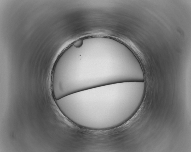 X0000112111240200908181341