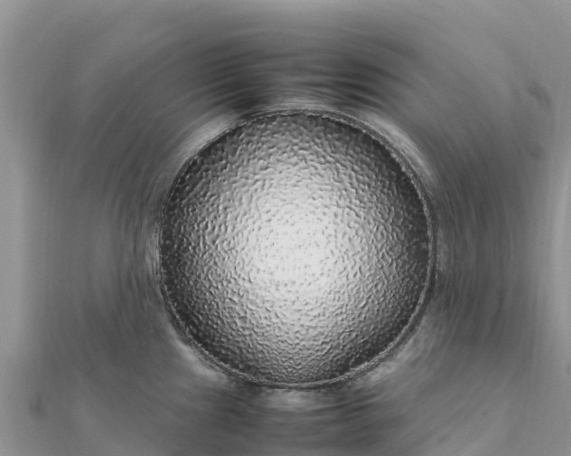 X0000112111241200908181341