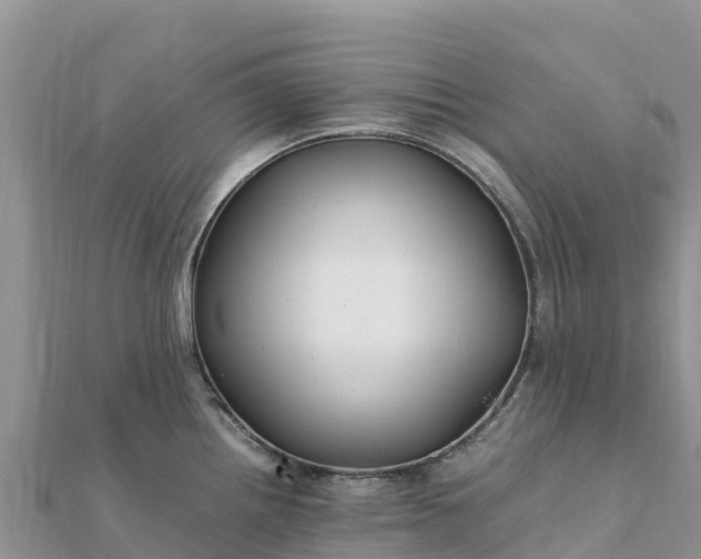 X0000112111242200908181341