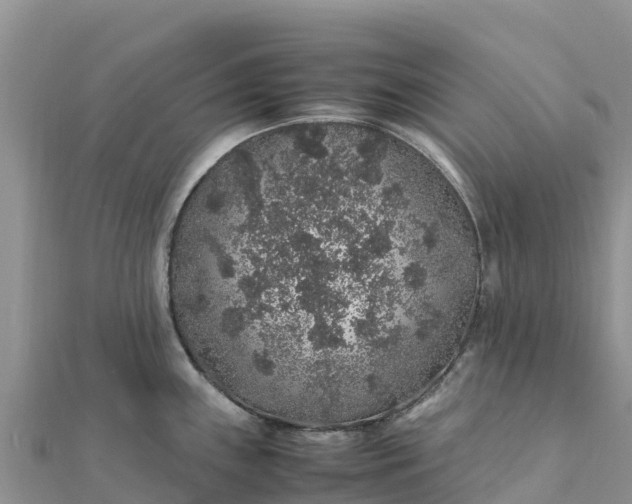 X0000112111243200908181341