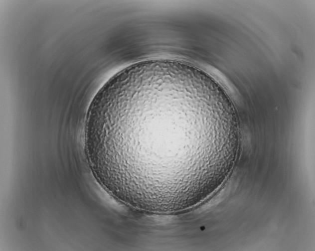 X0000112111244200908181341