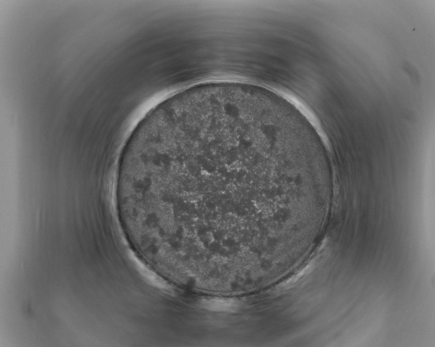 X0000112111245200908181341