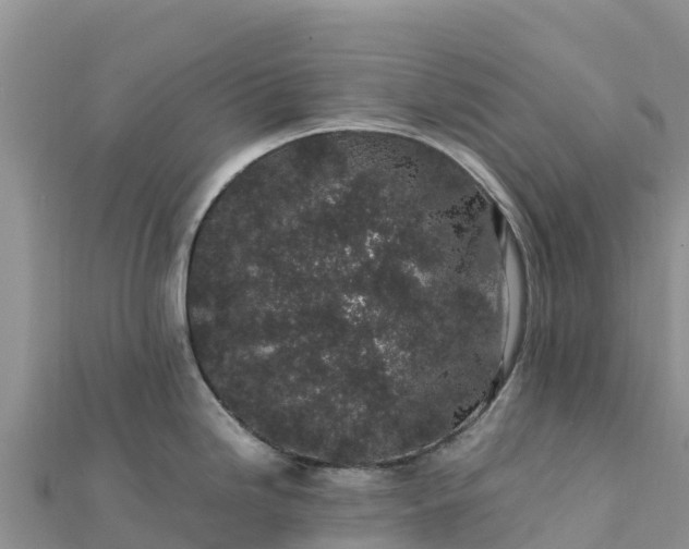 X0000112111246200908181341