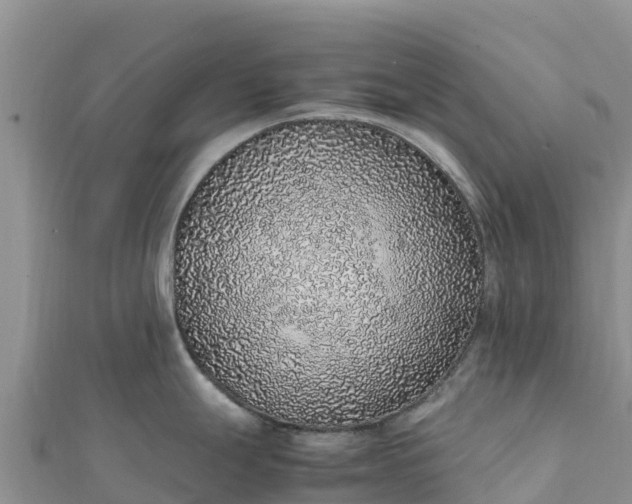 X0000112111247200908181341