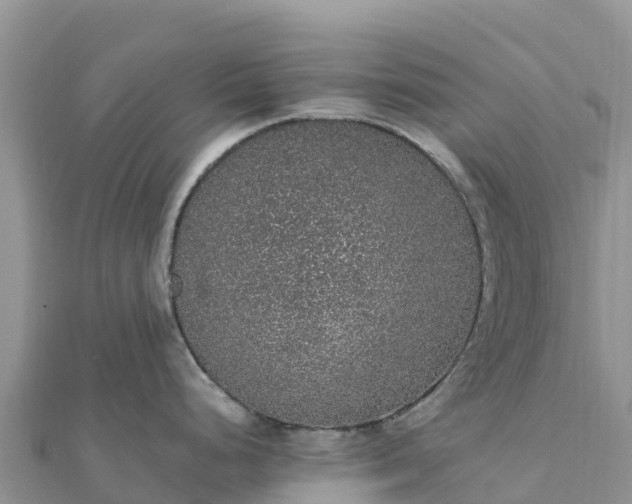 X0000112111248200908181341