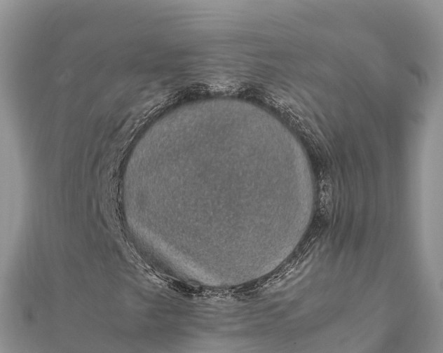 X0000112111249200908181340