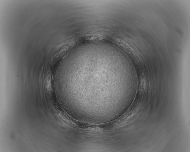 X0000112111250200908181340