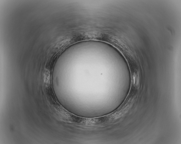 X0000112111251200908181340