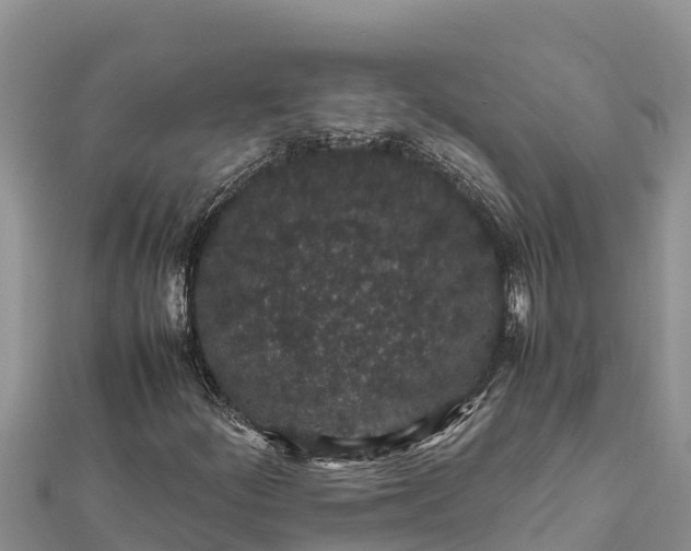 X0000112111252200908181340