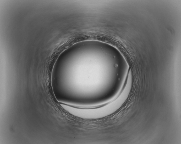 X0000112111253200908181340