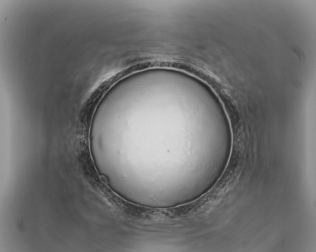 X0000112111255200908181340