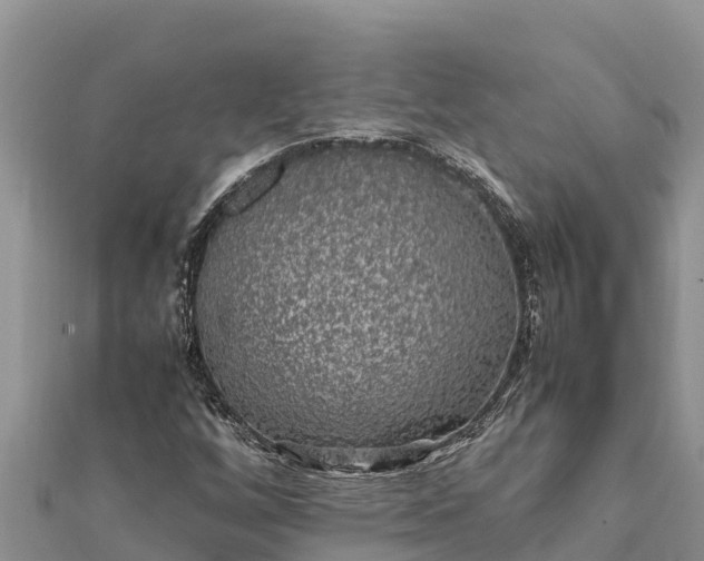 X0000112111256200908181340