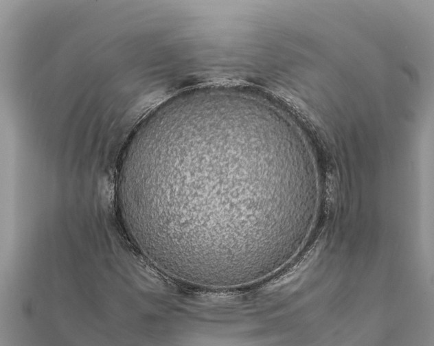 X0000112111257200908181340