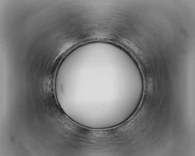 X0000112111258200908181340