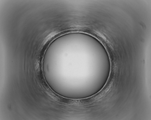 X0000112111259200908181340