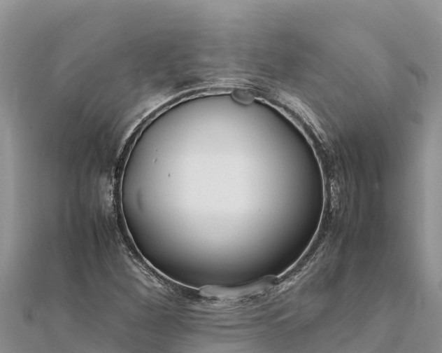 X0000112111260200908181340