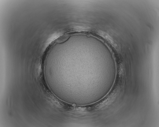 X0000112111261200908181340