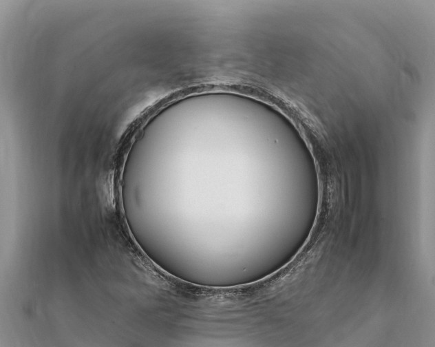 X0000112111262200908181340