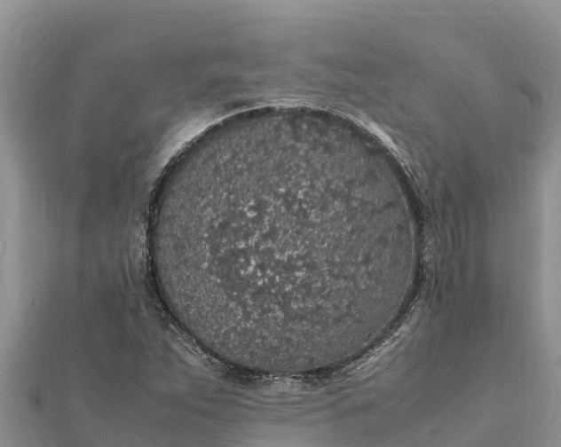 X0000112111263200908181340