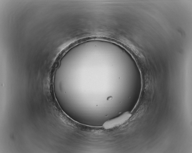 X0000112111264200908181340