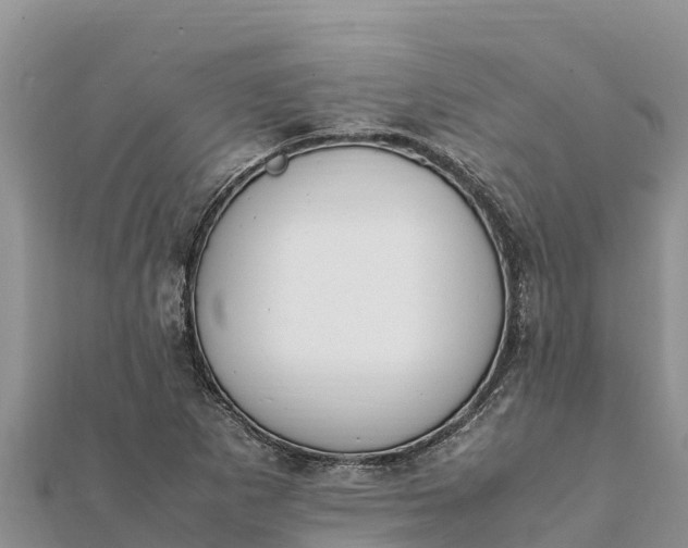 X0000112111265200908181340