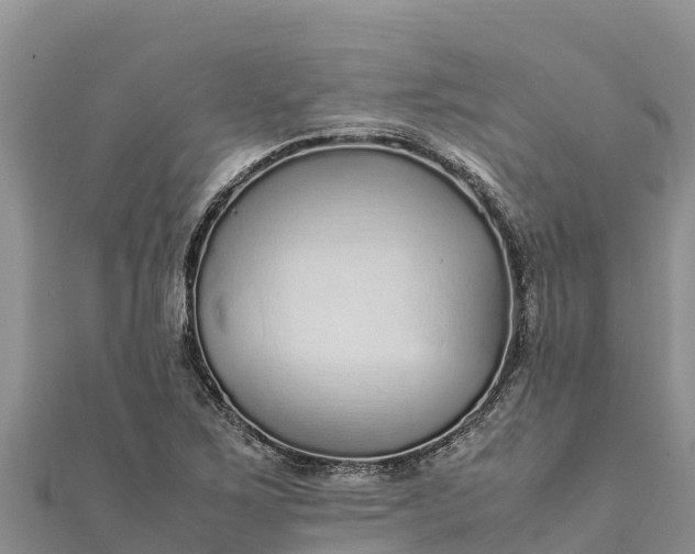 X0000112111267200908181340