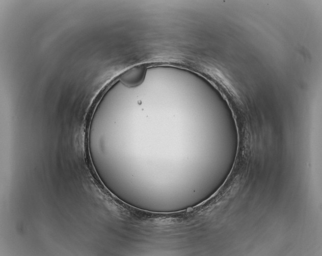 X0000112111268200908181340