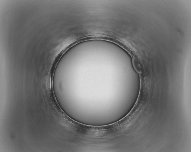 X0000112111269200908181340