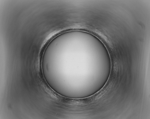 X0000112111270200908181340