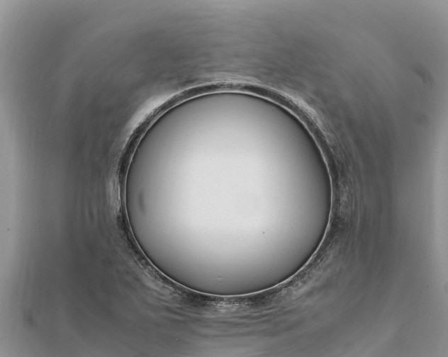 X0000112111271200908181340