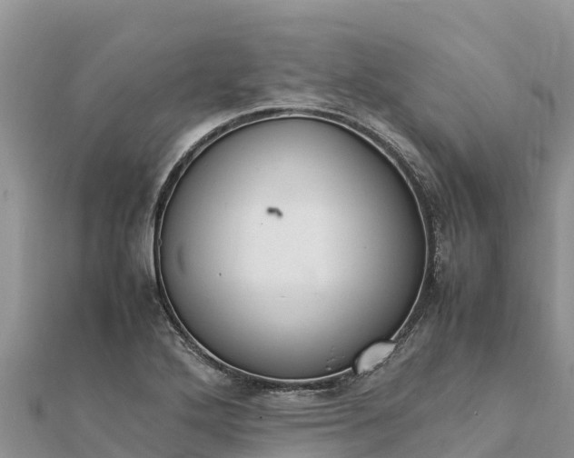 X0000112111272200908181340